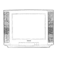 Toshiba Nicam 2173DB Owner's Manual