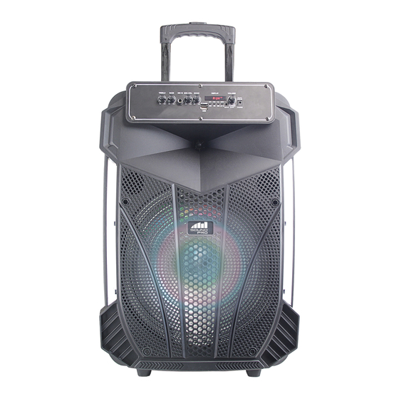 Sound Pro NDS-1535 Instruction Manual
