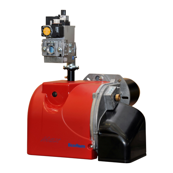 Ecoflam MAX GAS 170 PR Manual