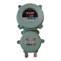 Masibus LC5296-XP-I User Manual