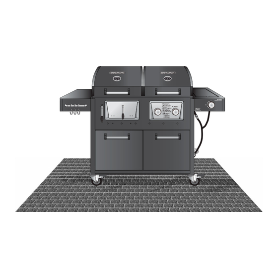 Brinkmann 810-3250-W Owner's Manual