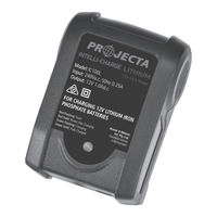 Projecta IC100L Instruction Manual