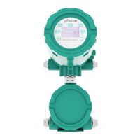 Flexim FLUXUS G831ST-HT Operating	 Instruction