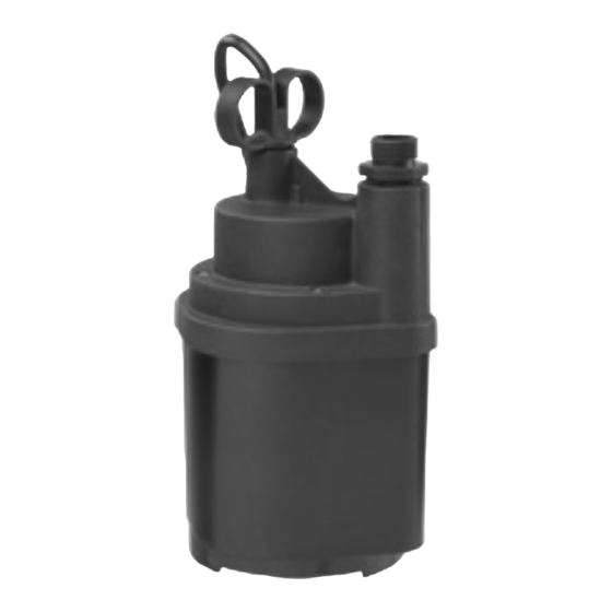 Blue Angel Pumps BWEU250 Manuals