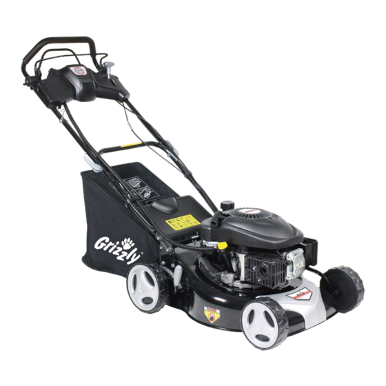 Grizzly BRM 4613-20 A E-Start Instructions For Use Manual
