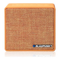 Blaupunkt BT04 Owner's Manual