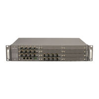 OpenVox VS-GW2120-20W User Manual