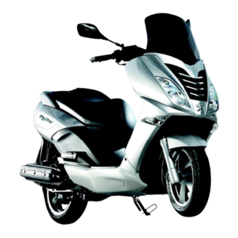 PEUGEOT CITYSTAR Owner's Manual