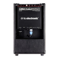 Tc Electronic BG250-208 Quick Start Manual