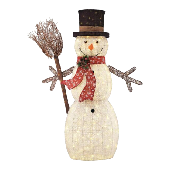 Home Accents Holiday TY625-1711-1 Use And Care Manual