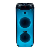 Qilive Party Soundbox 200W User Manual