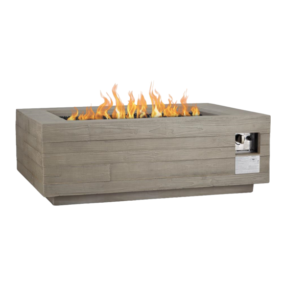 RealFlame C11800LP Owner's Manual