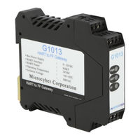 Microcyber G1013 User Manual