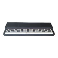 Roland 800 Owner's Manual