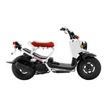 Honda 2015 Ruckus NPS50 Owner's Manual