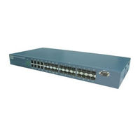 Ruby Tech FGS-2924R Specifications