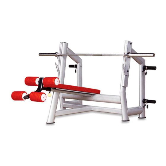 BRONZE GYM H-24 Manual