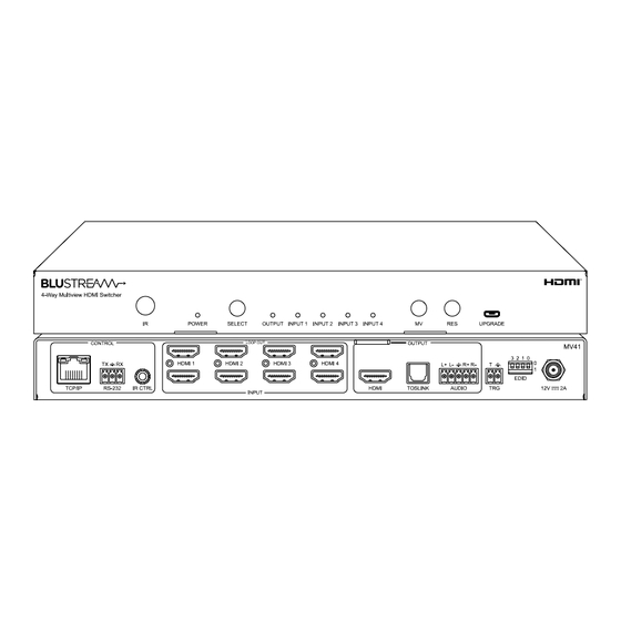 BluStream MV41 User Manual