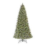 Home Accents Holiday 23PG90081 Manual