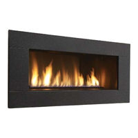 Regency Horizon HZ42E-LP Owners & Installation Manual