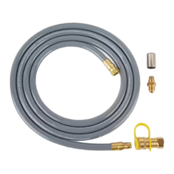 RealFlame C539LP Manual