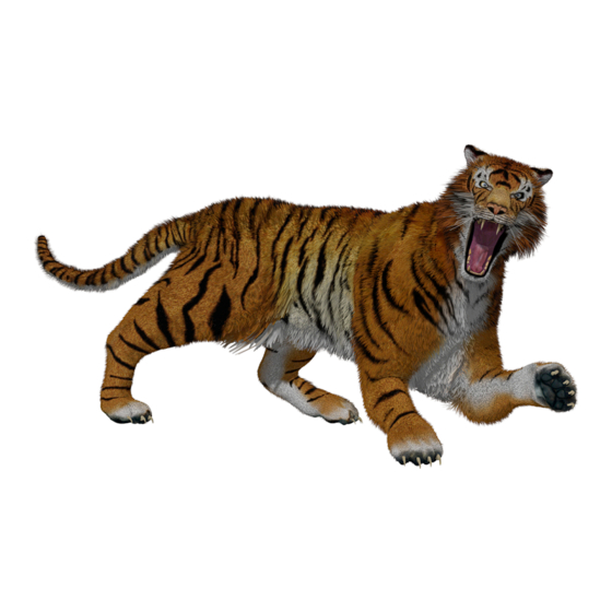 Am Tigers Instruction Manual
