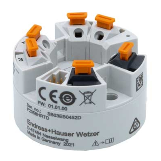 Endress+Hauser F2058HRTD Brief Operating Instructions