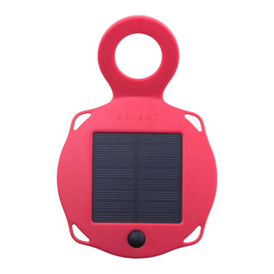 BRIGHT SunTurtle Y Training Manual