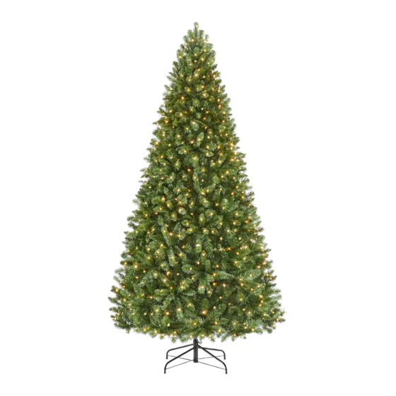 Home Accents Holiday 1006215503 Assembly Instructions