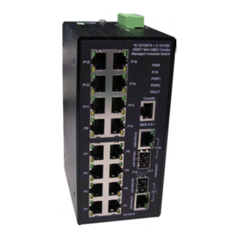 Transition Networks SISTM1040-262D-LRT User Manual