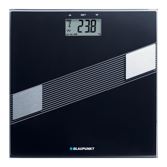 Blaupunkt BSM411 Owner's Manual
