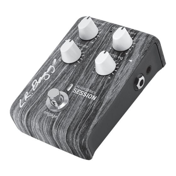 L.R. Baggs ALIGN SERIES SESSION User Manual