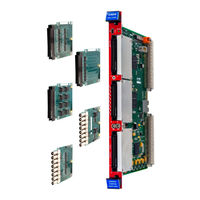 Caen V2495 User Manual