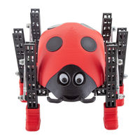 Totem LADYBUG Assembly Manual