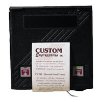 Custom Audio Electronics P190 User Manual
