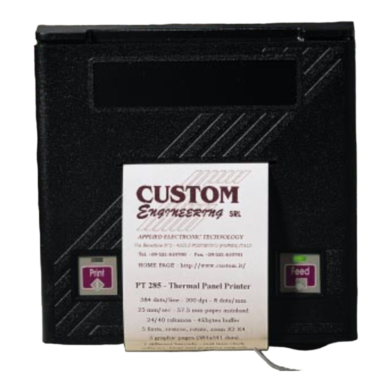 Custom Audio Electronics P190 User Manual