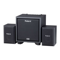Roland CM-110 User Manual
