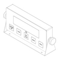 Doran Scales DS100 Operator's Manual