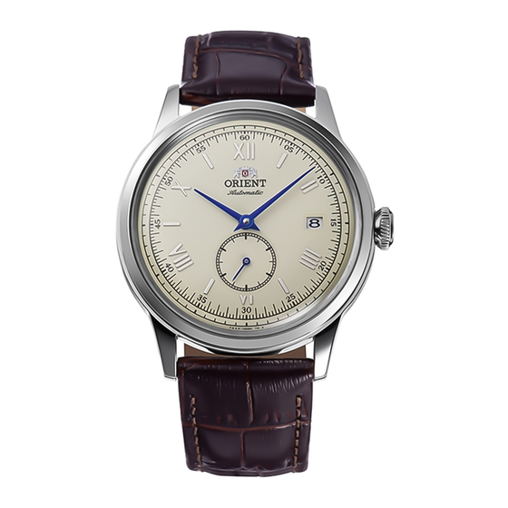 Orient RA-AP0105Y Instruction Manual