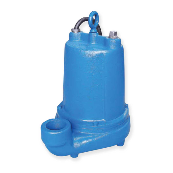 Barmesa Pumps 2BEH-SS Series Installation, Operation & Maintenance Manual