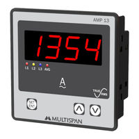 Multispan AMP 13 Manual