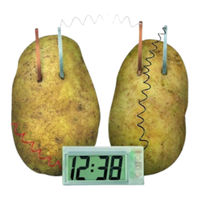 4M Green Science Potato Clock Manual