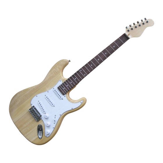 BYO Guitar Strat Instructions For The User