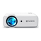 Vankyo Leisure D30T- Projector Manual