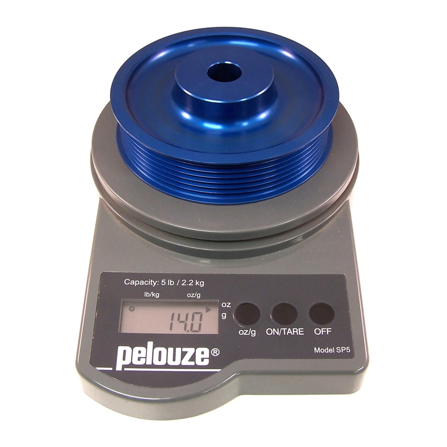 Pelouze PE5 Digital Postal Scale - PELPE5