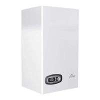 Ferroli DIVACONDENS D PLUS F 24 Instructions For Use, Maintenance And Installation Manual