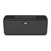 BLAM BT30 User Manual