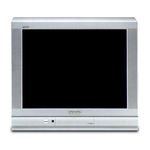 Panasonic Viera TC-29P22R Operating	 Instruction