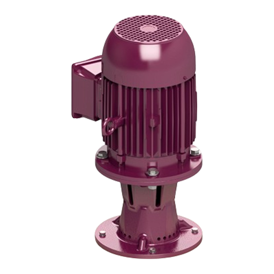 Affetti Pumps CGV-L User Manual