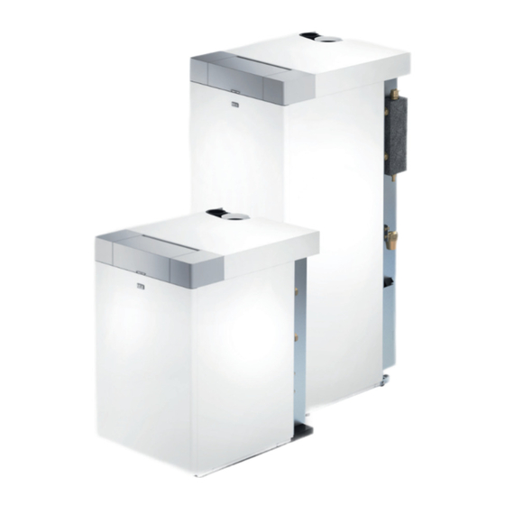 Riello INSIEME EVOe 25 LN Installation And Maintenance Manual